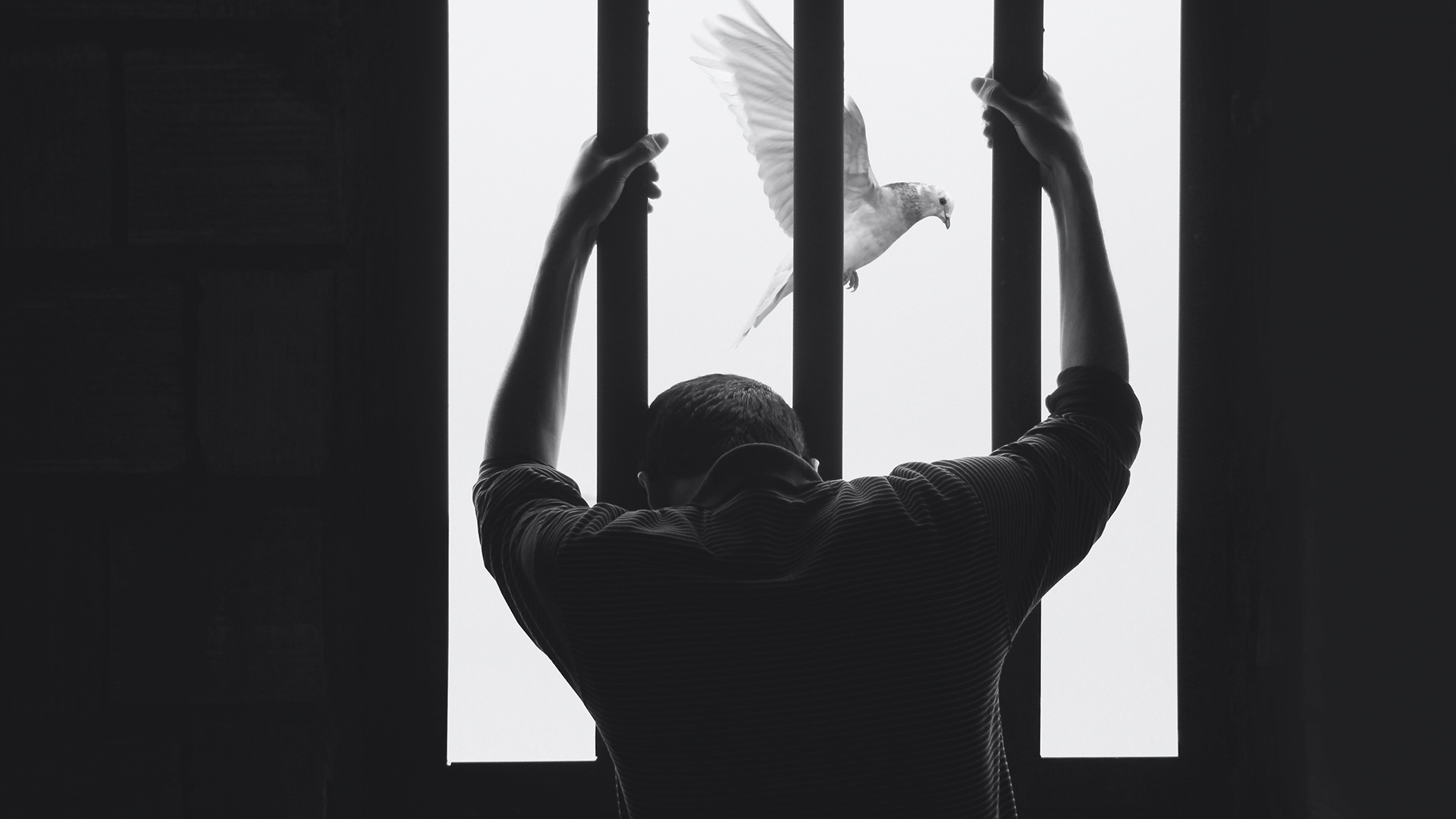 Belarusian Prison Where Lives Come To An End OUR HOUSE